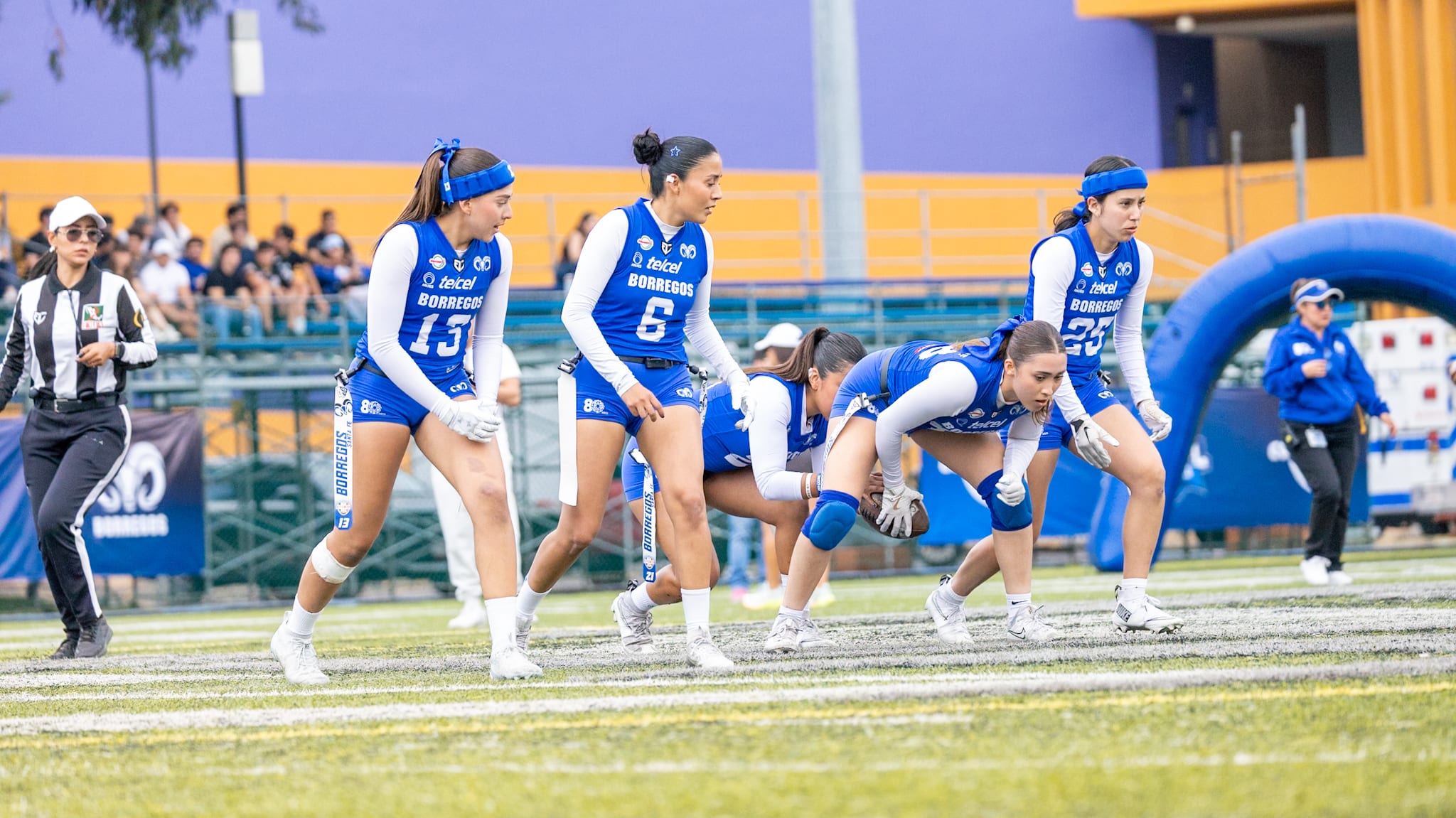 Borregos Santa Fe × Ángela Funes, fotografía 13 de 16