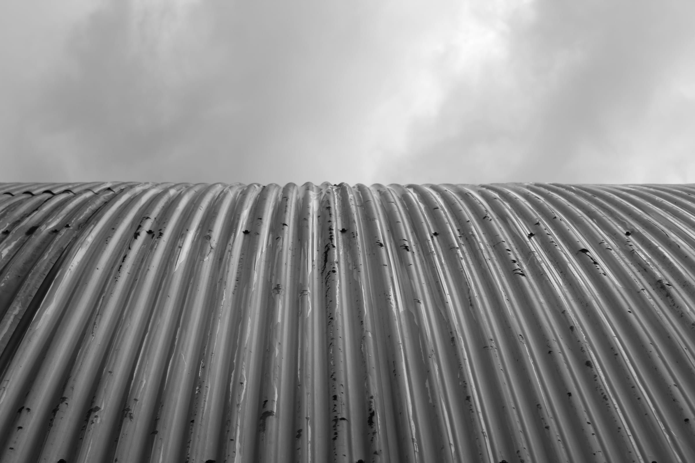 CENART en Blanco y Negro, fotografía 8 de 9