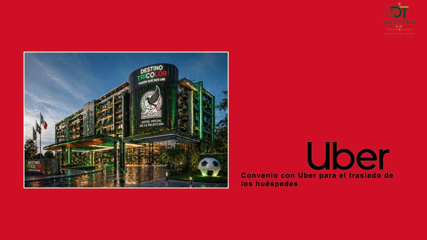 Destino Tricolor, lámina 10